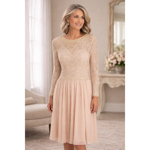 Vintage Ricki Lang for Nuit Prom Dance Party Lace Dress Sheer Skirt Size 4